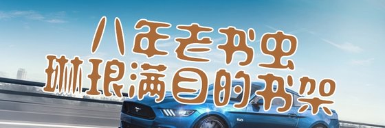 八年老书虫琳琅满目的书架
